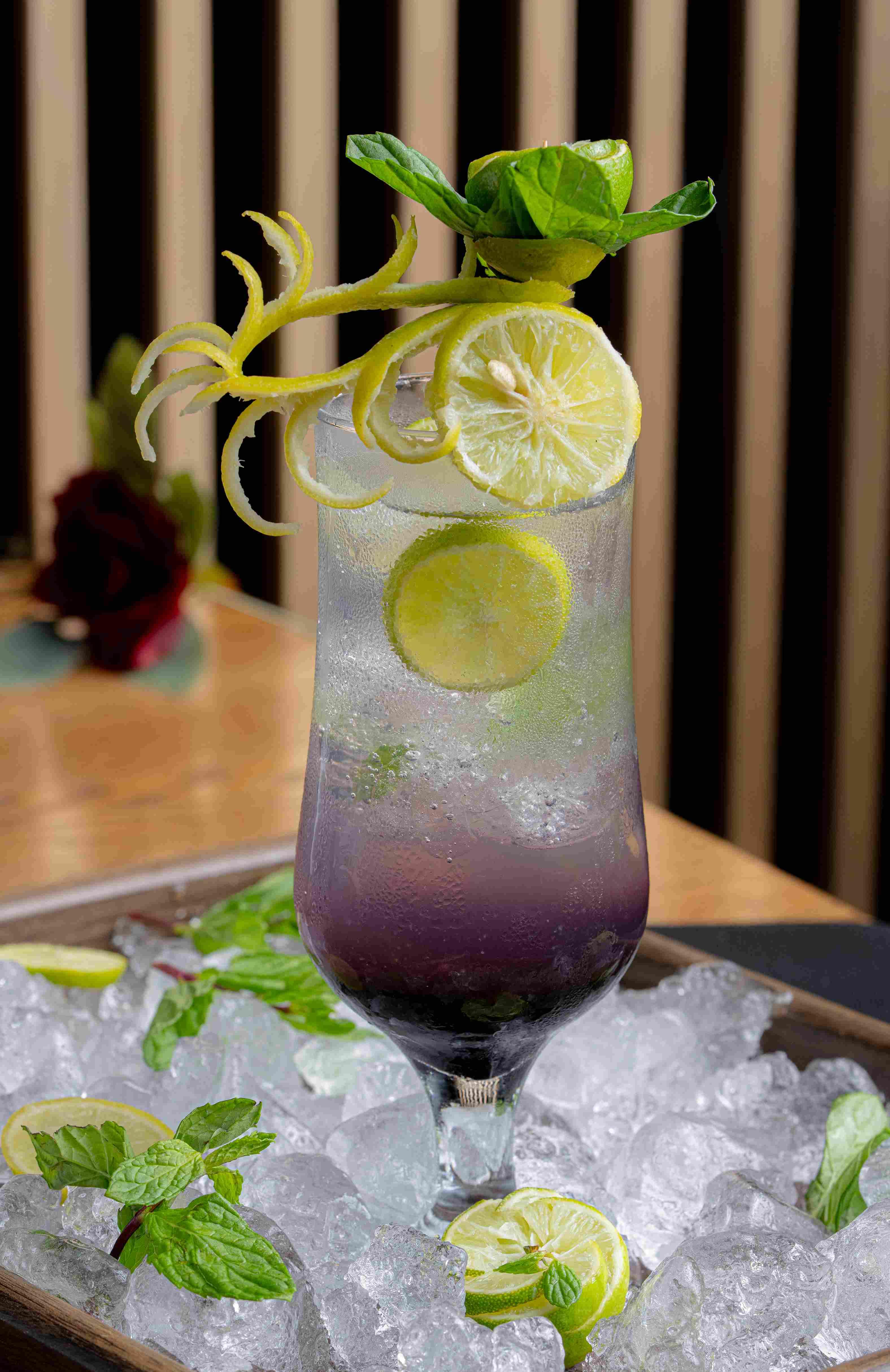 Blueberry Mojito